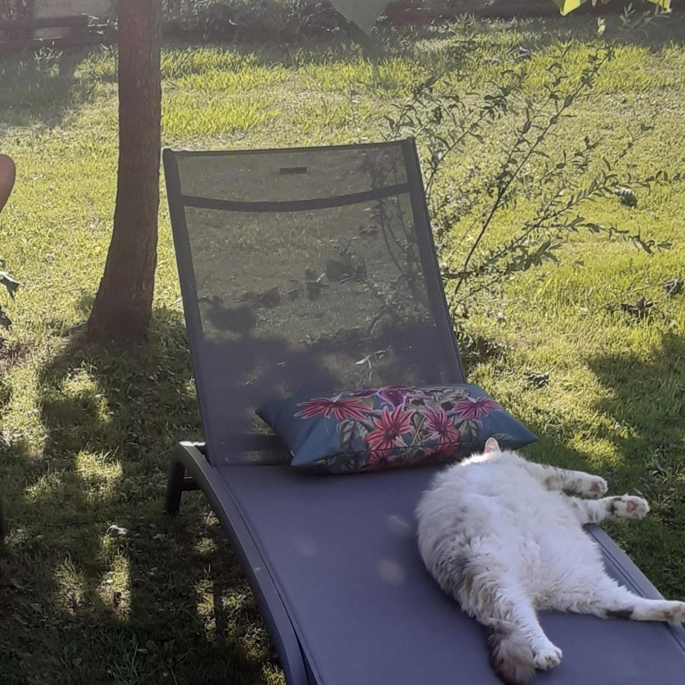 O'Jardin Bed & Breakfast Arthez-de-Bearn Екстериор снимка